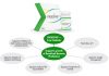 Can LifePharm DIGESTIVE+++ help with weight loss?