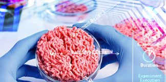 Dangerous Side effects of Lab-Grown In-Vitro Meat impossible burger