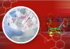Introduction to Fibroblast Growth Factor Study growth factors